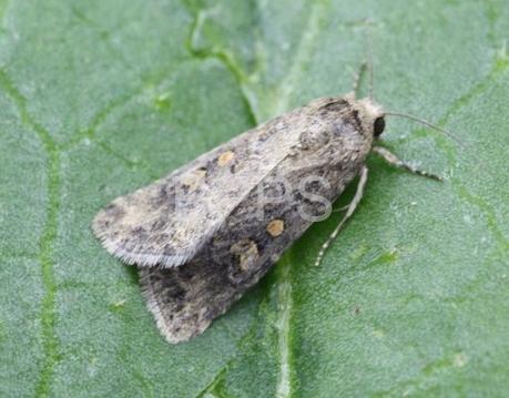 此图片的 alt 属性为空；文件名为 %E5%BE%AE%E4%BF%A1%E6%88%AA%E5%9B%BE_20250404224959.jpg