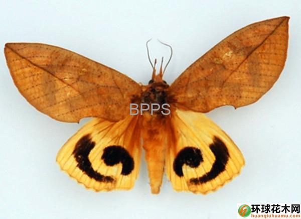 此图片的 alt 属性为空；文件名为 64255.jpg