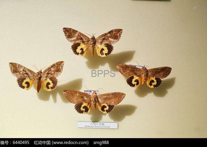 此图片的 alt 属性为空;文件名为 64256.jpg