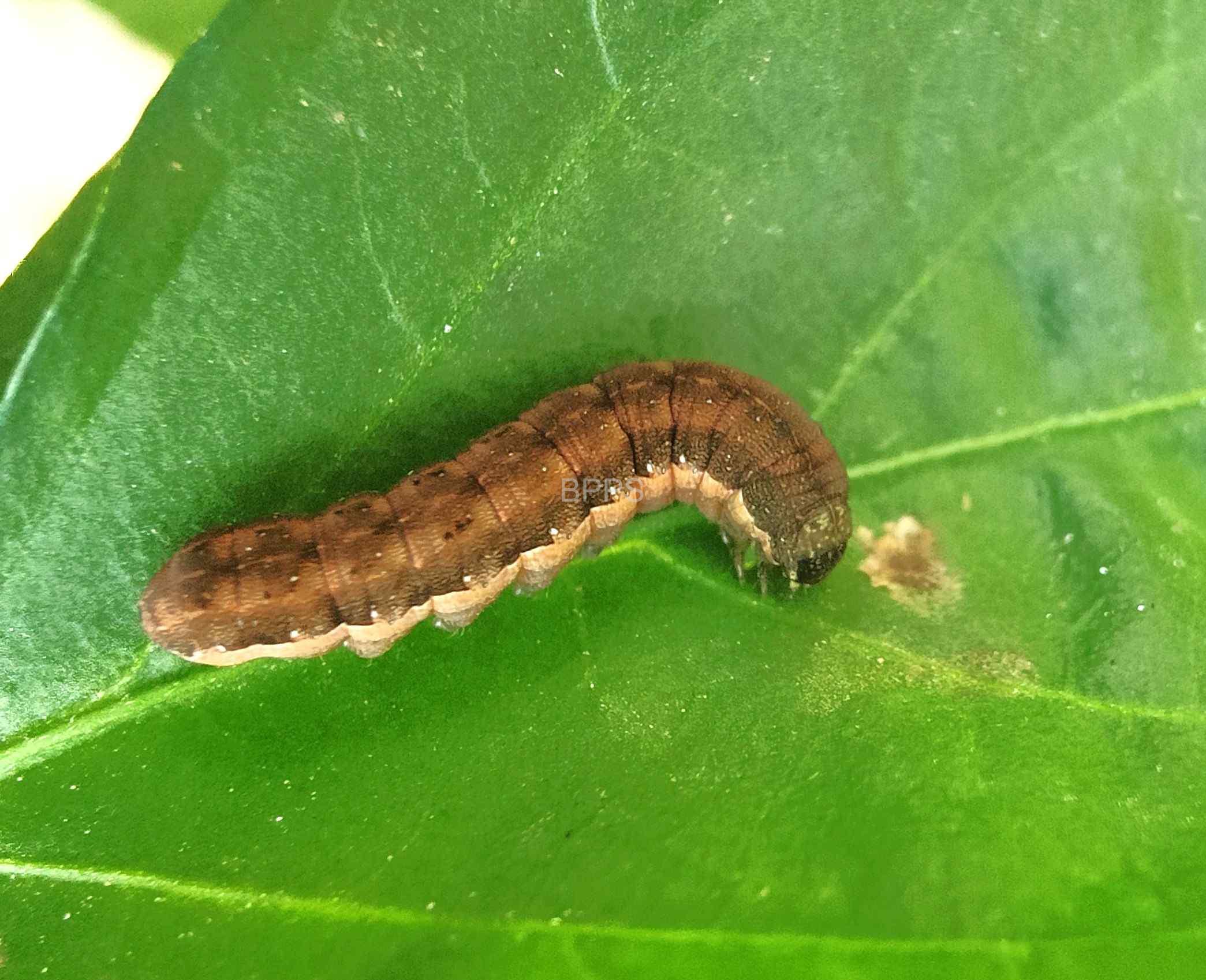 此图片的 alt 属性为空；文件名为 IMG20240108140009%EF%BC%882%EF%BC%89.jpg