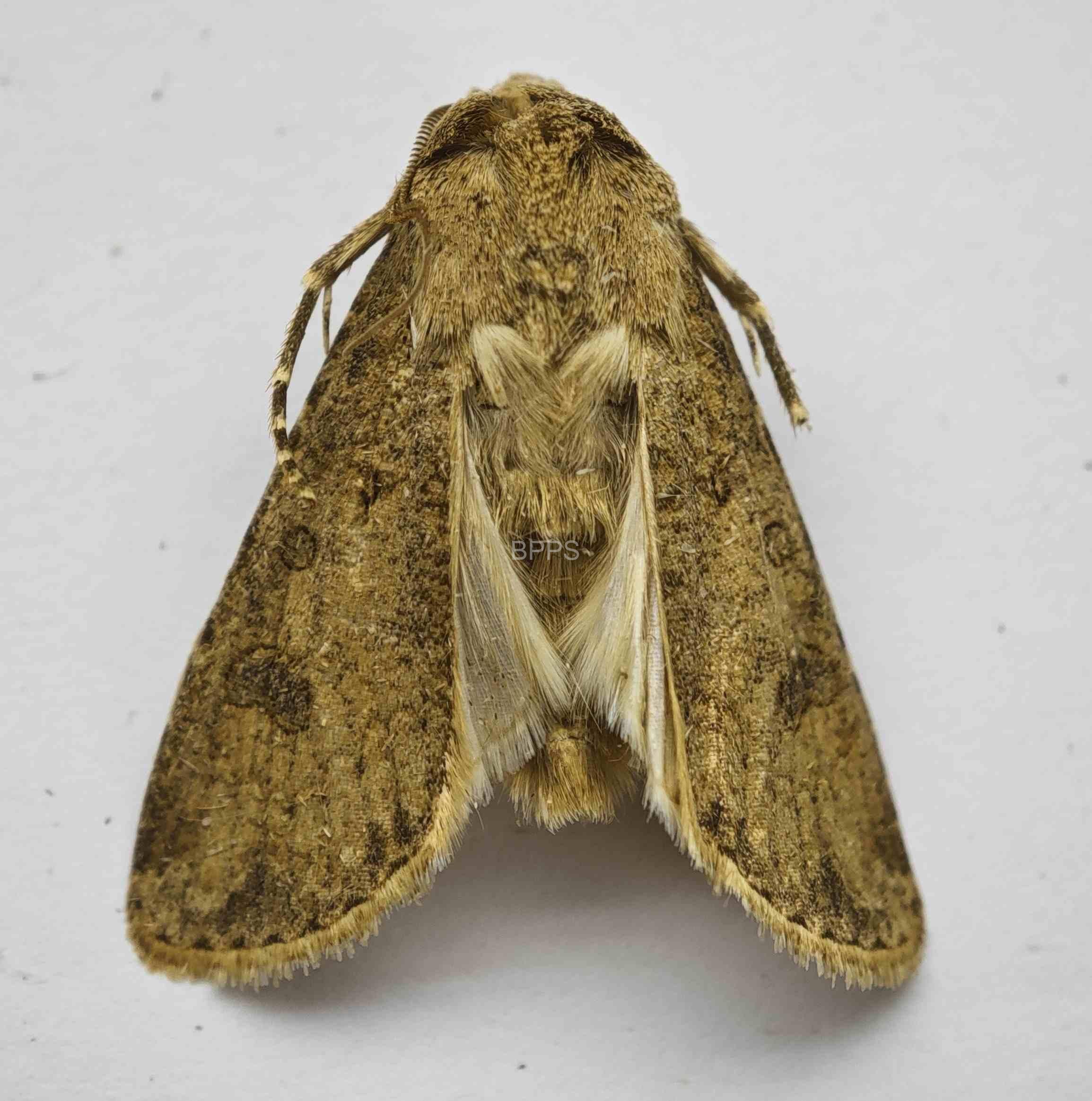 此图片的 alt 属性为空;文件名为 IMG_20240907_094712%EF%BC%882%EF%BC%89.jpg