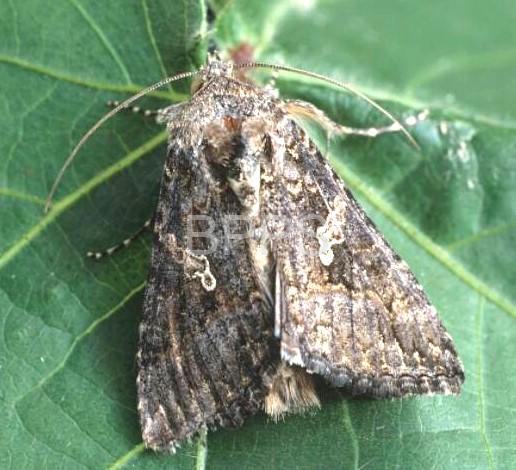 此图片的 alt 属性为空;文件名为 ns80kwj6991x25nx.jpeg